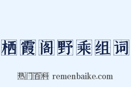 栖霞阁野乘组词是什么意思的图片